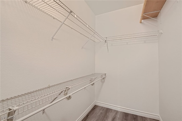 spacious closet with wood-type flooring