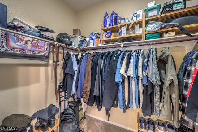 walk in closet with carpet floors