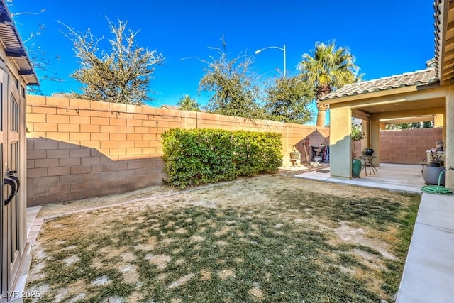 view of yard featuring a patio area