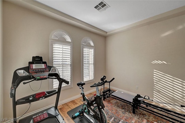 workout room featuring wood-type flooring