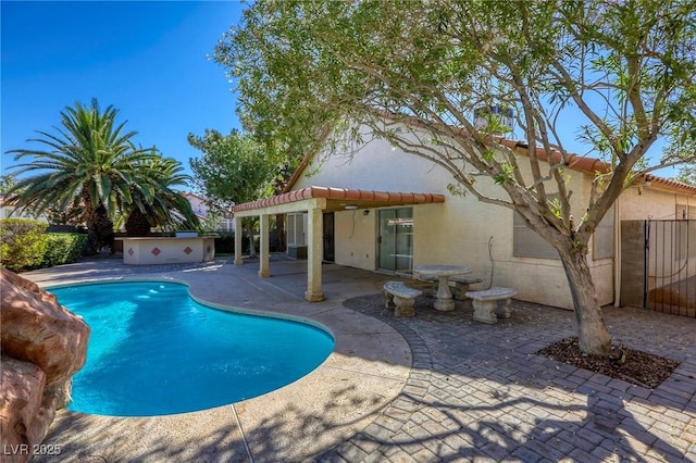 view of pool featuring a patio area