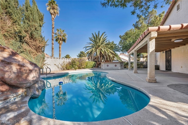 view of swimming pool with a patio