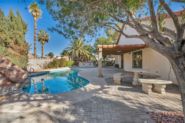 view of pool featuring a patio