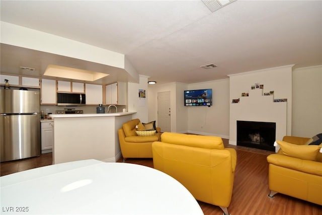 living room with dark hardwood / wood-style flooring and sink