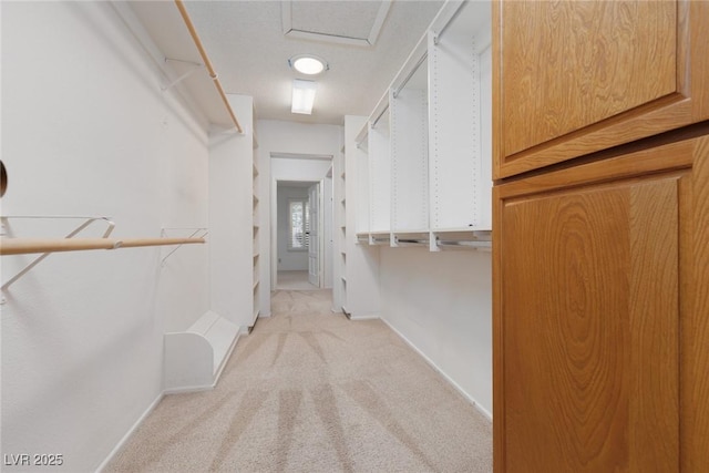 spacious closet with light colored carpet