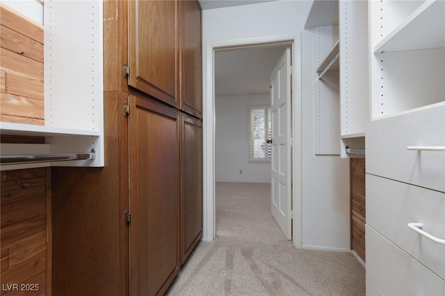 walk in closet with light colored carpet