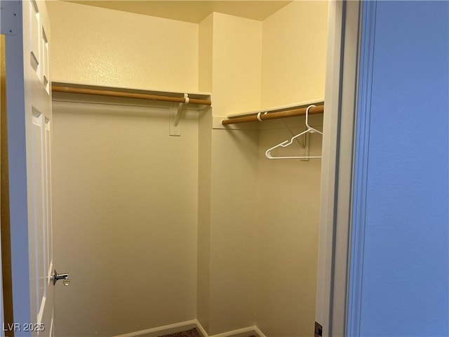 view of walk in closet