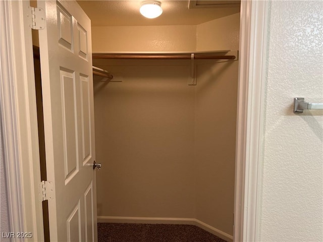 spacious closet featuring carpet floors