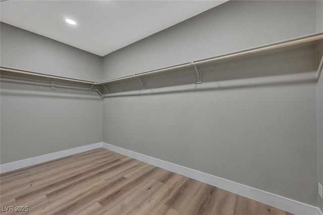 spacious closet with hardwood / wood-style flooring