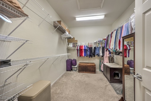 spacious closet featuring light colored carpet