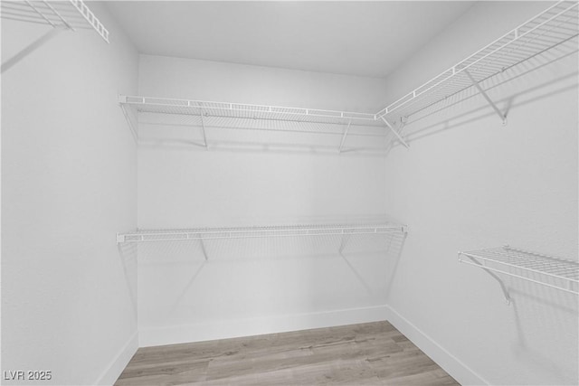 walk in closet with hardwood / wood-style floors