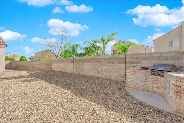 view of yard featuring exterior kitchen