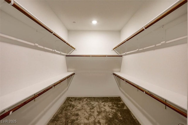 spacious closet with carpet floors