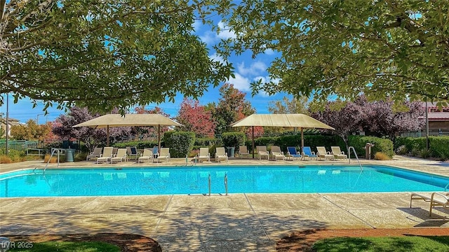 view of pool with a patio