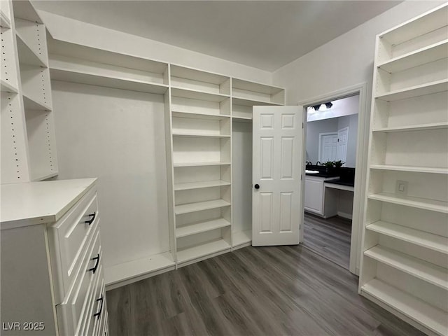 spacious closet featuring dark hardwood / wood-style flooring