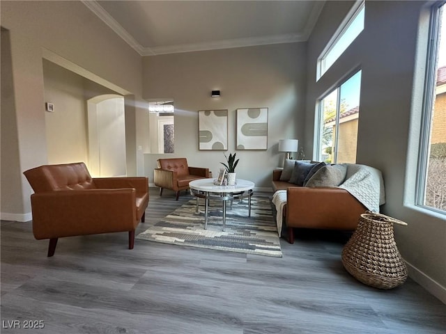 sitting room with ornamental molding and hardwood / wood-style flooring