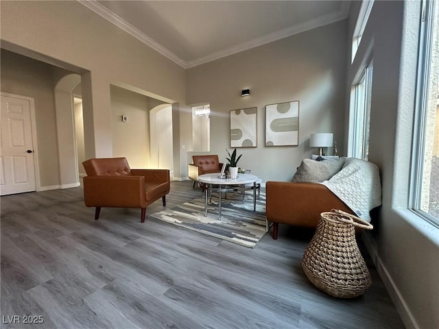 sitting room with ornamental molding and hardwood / wood-style floors