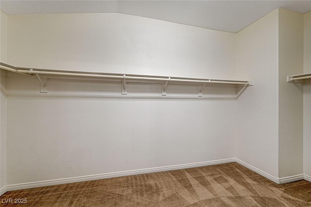 spacious closet with carpet