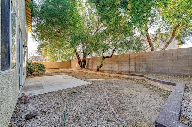 view of yard featuring a patio area