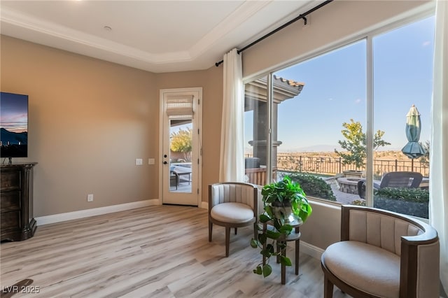 sitting room with light wood-type flooring and a tray ceiling