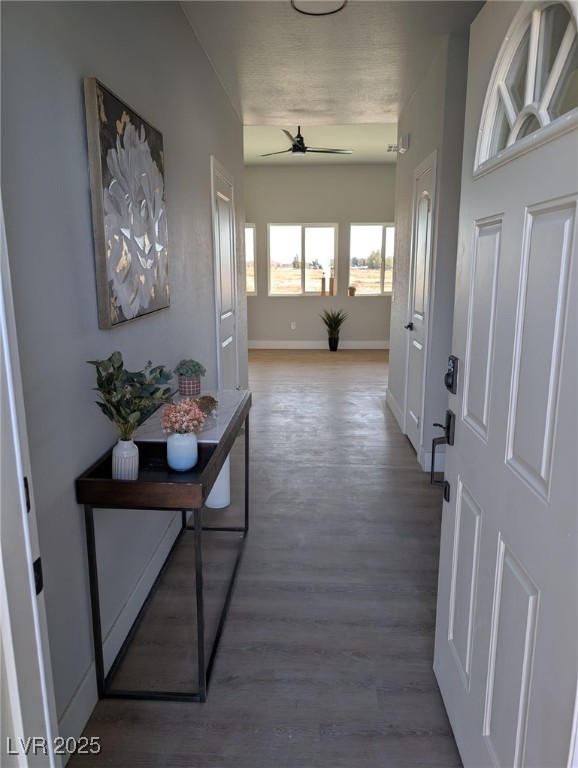 interior space with wood-type flooring