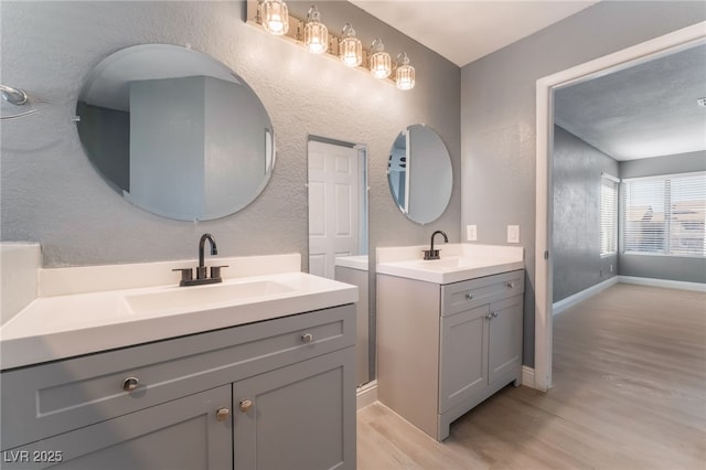 bathroom with hardwood / wood-style flooring and vanity