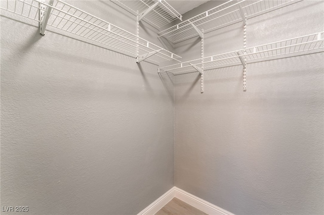 spacious closet featuring wood-type flooring