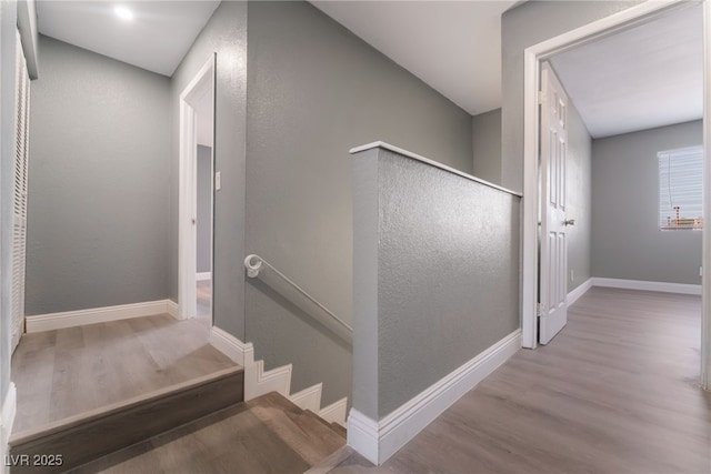 staircase with hardwood / wood-style floors