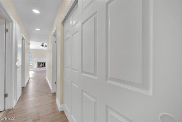 hall featuring light hardwood / wood-style floors