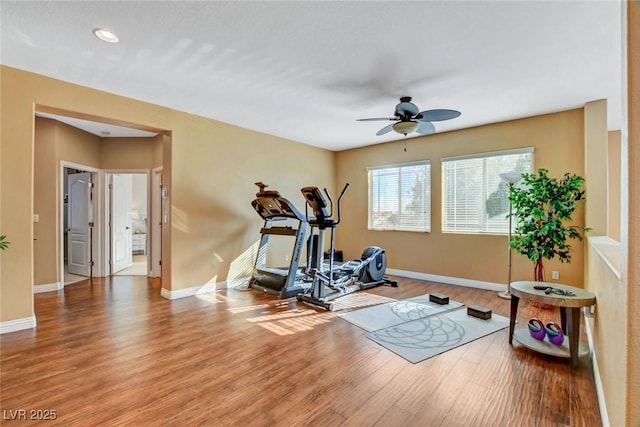 workout room featuring hardwood / wood-style floors and ceiling fan