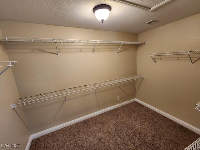 walk in closet with carpet