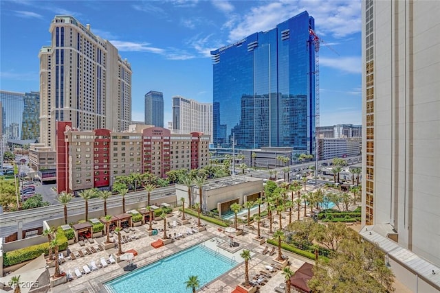 view of swimming pool with a patio area