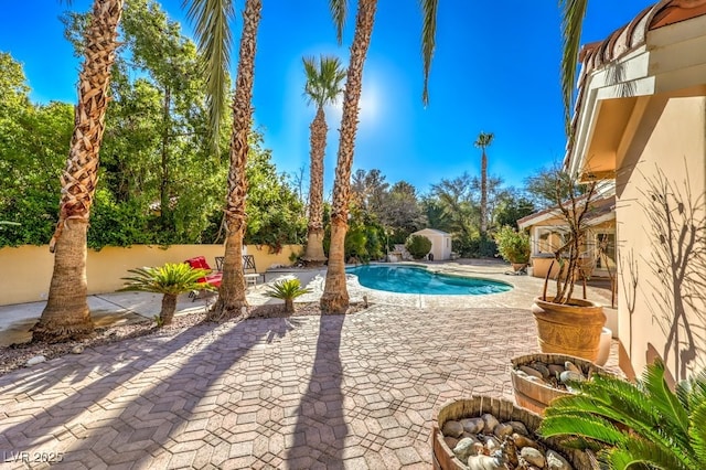 view of swimming pool with a storage unit and a patio area