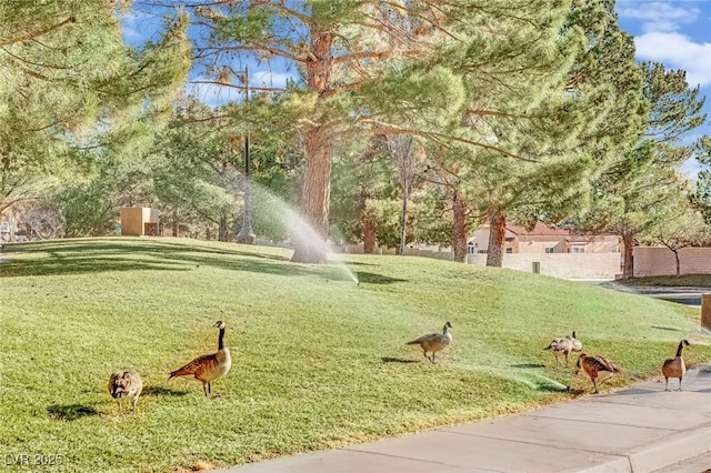 surrounding community featuring a lawn