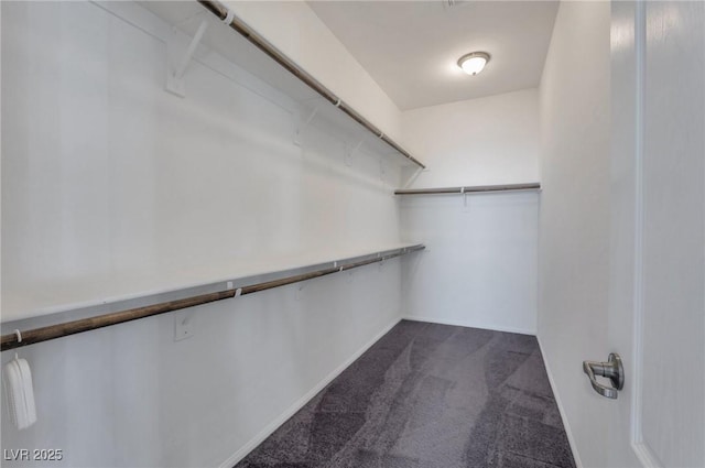 walk in closet featuring dark colored carpet