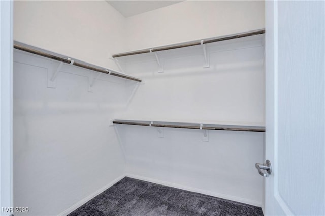 spacious closet with dark colored carpet