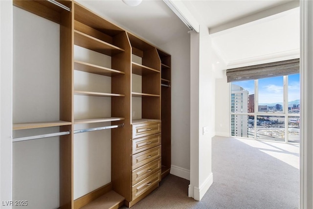 view of closet