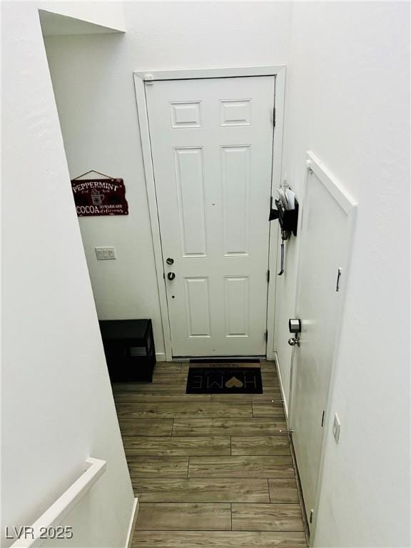 entryway featuring dark wood-type flooring