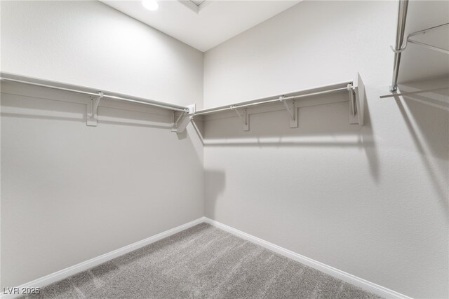 spacious closet with carpet floors