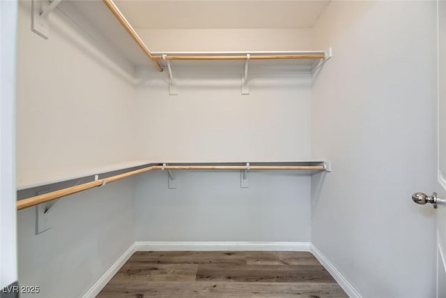 spacious closet featuring hardwood / wood-style flooring