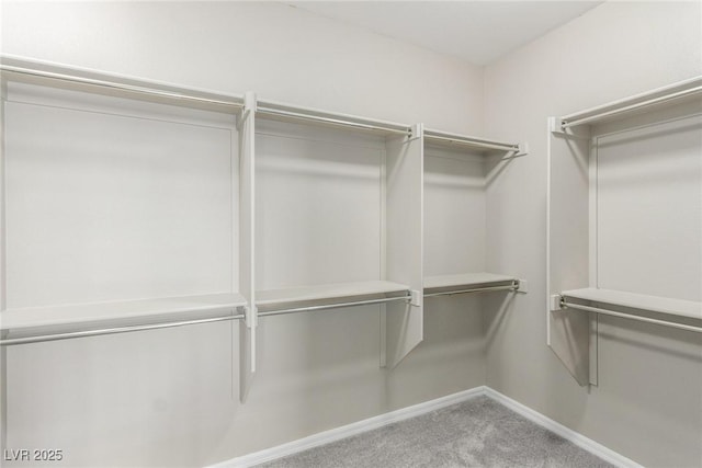 walk in closet featuring carpet floors