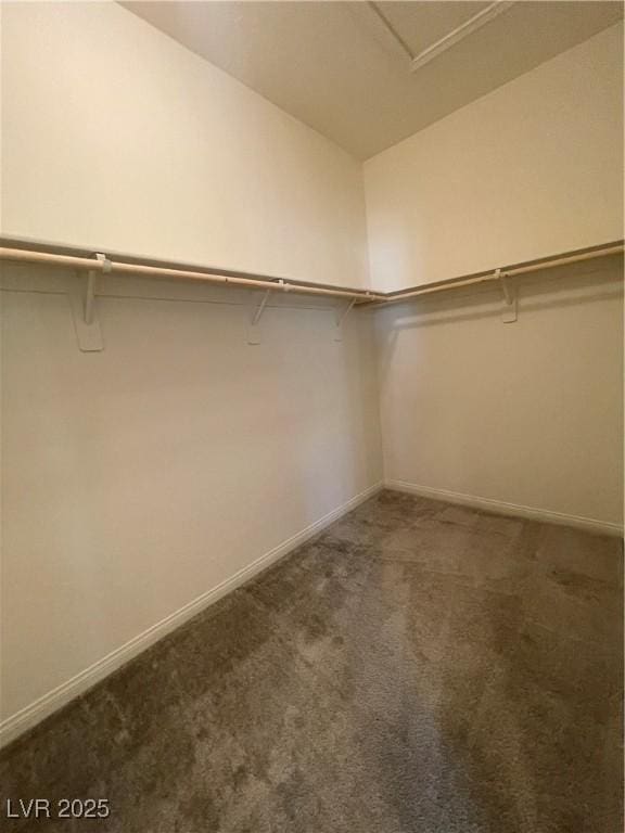 walk in closet with carpet