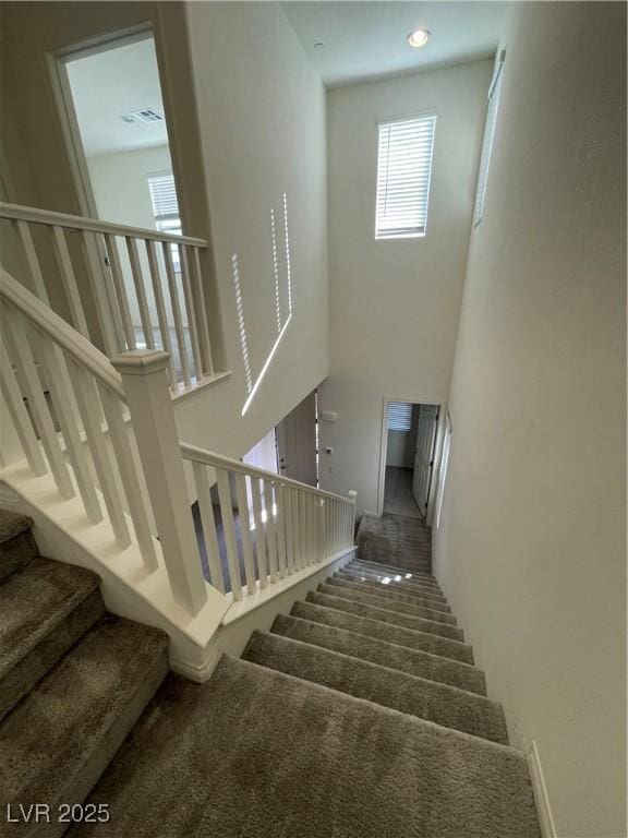 stairs with carpet flooring