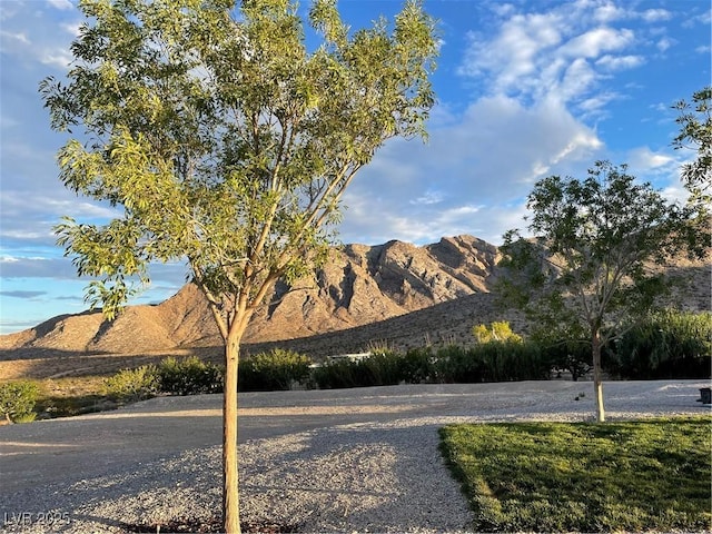 8068 Buena Vida St, Las Vegas, NV 89166 - photo 43