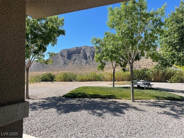 8068 Buena Vida St, Las Vegas, NV 89166 - photo 44