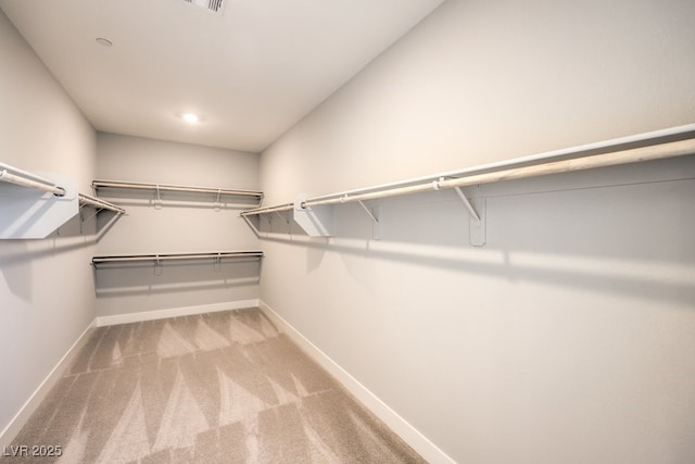 walk in closet with light colored carpet