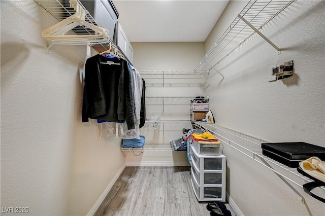 spacious closet with light wood-type flooring