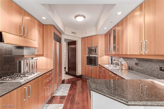 kitchen featuring appliances with stainless steel finishes, ventilation hood, tasteful backsplash, sink, and a raised ceiling