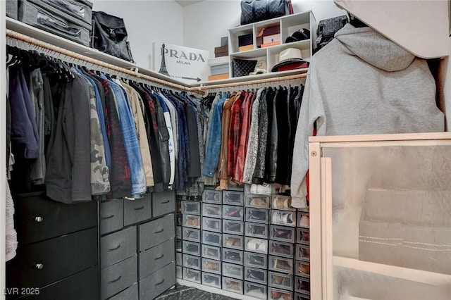 view of spacious closet