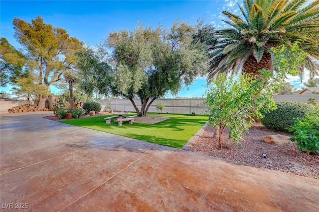 view of yard featuring a patio